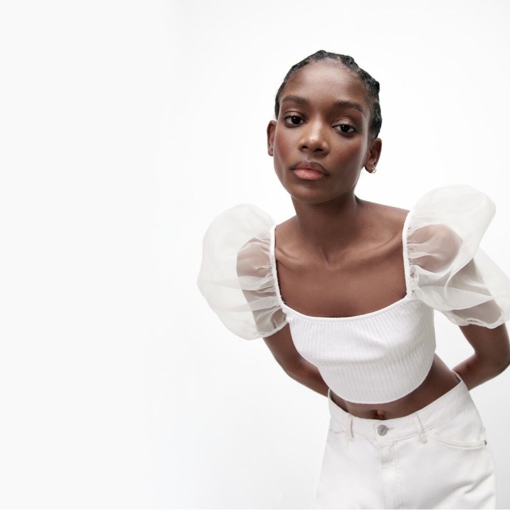 Zara Sheer Puff Sleeves Top with Organza Inserts - Picture 11 of 11